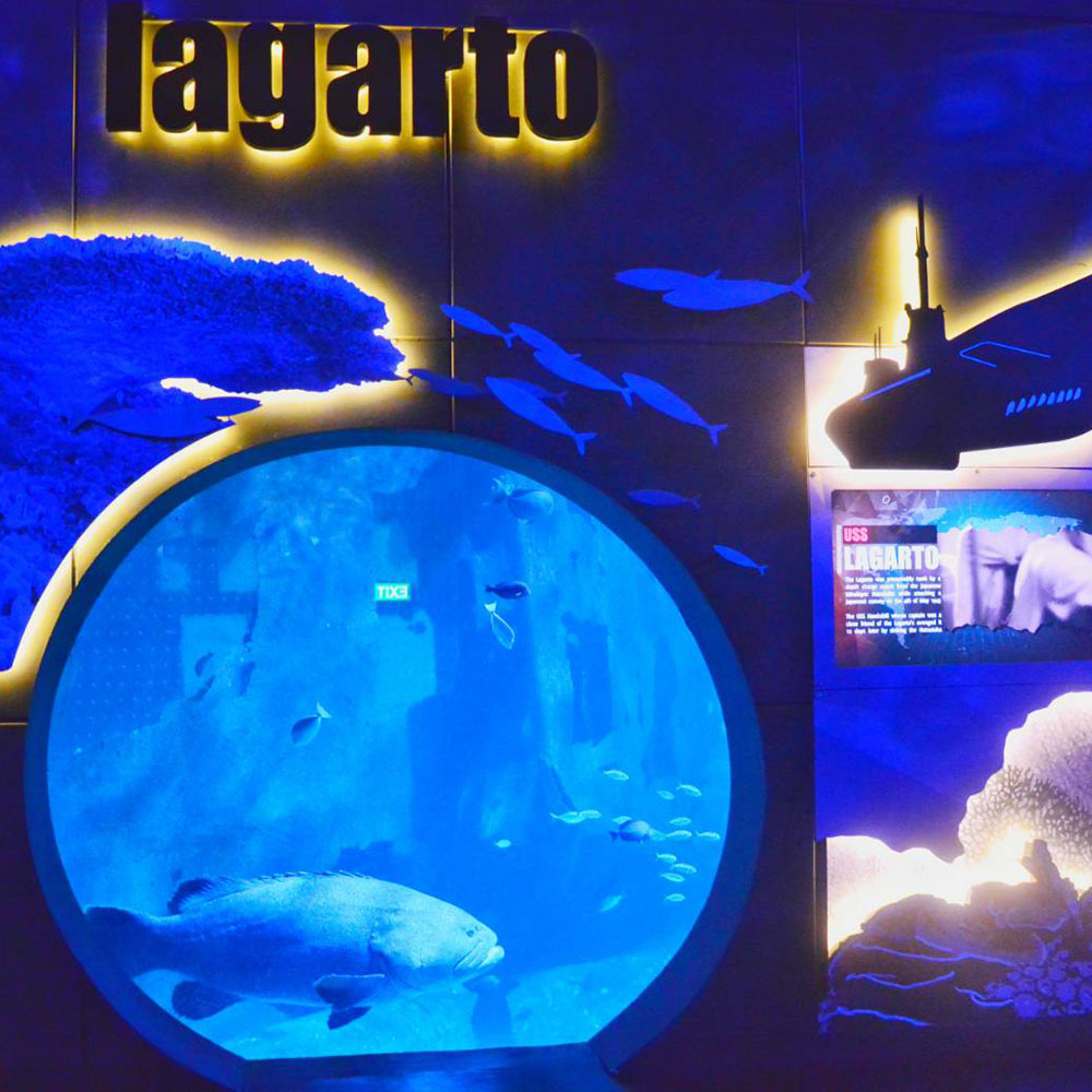 Aquaria at Central Phuket Floresta